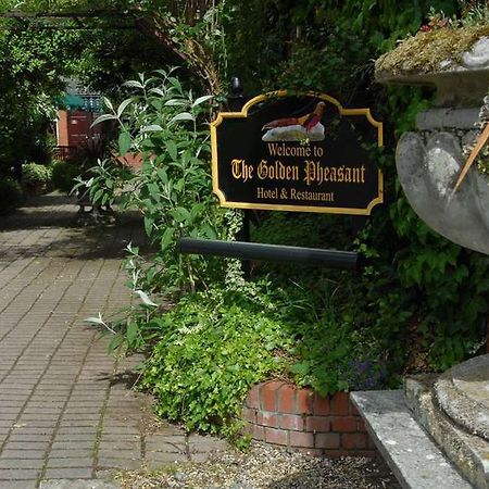 Golden Pheasant Country Hotel Лланголлен Экстерьер фото